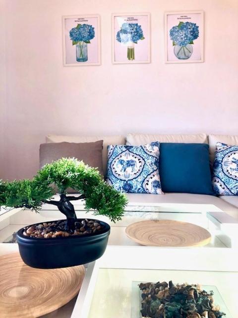 אל פוארטו דה סנטה מריה Gatu Premium Atico Parra, Parking, Piscina Comun, Terraza, Wifi , " Preferente Mayores De 25 Anos Y Familias " מראה חיצוני תמונה