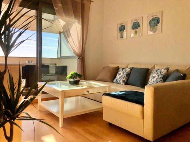 אל פוארטו דה סנטה מריה Gatu Premium Atico Parra, Parking, Piscina Comun, Terraza, Wifi , " Preferente Mayores De 25 Anos Y Familias " מראה חיצוני תמונה