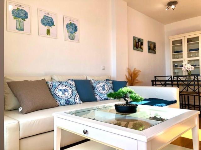 אל פוארטו דה סנטה מריה Gatu Premium Atico Parra, Parking, Piscina Comun, Terraza, Wifi , " Preferente Mayores De 25 Anos Y Familias " מראה חיצוני תמונה